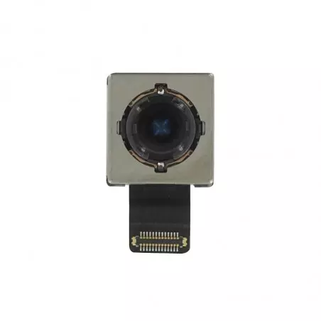 iPhone XR Rear Camera (Original)
