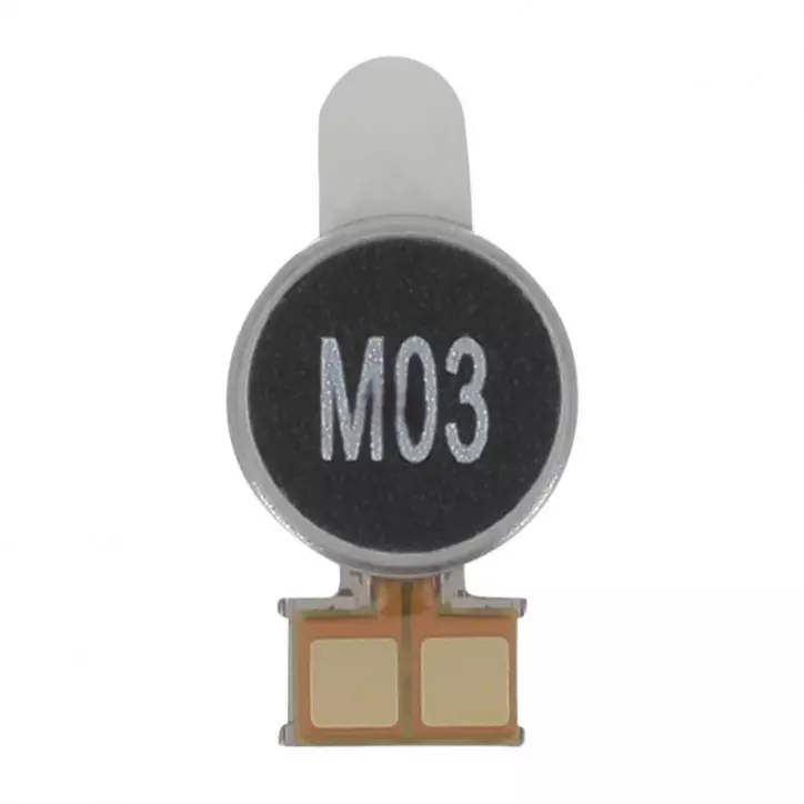 Vibreur Samsung Galaxy S21 5G (Original)